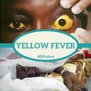 Yellow fever